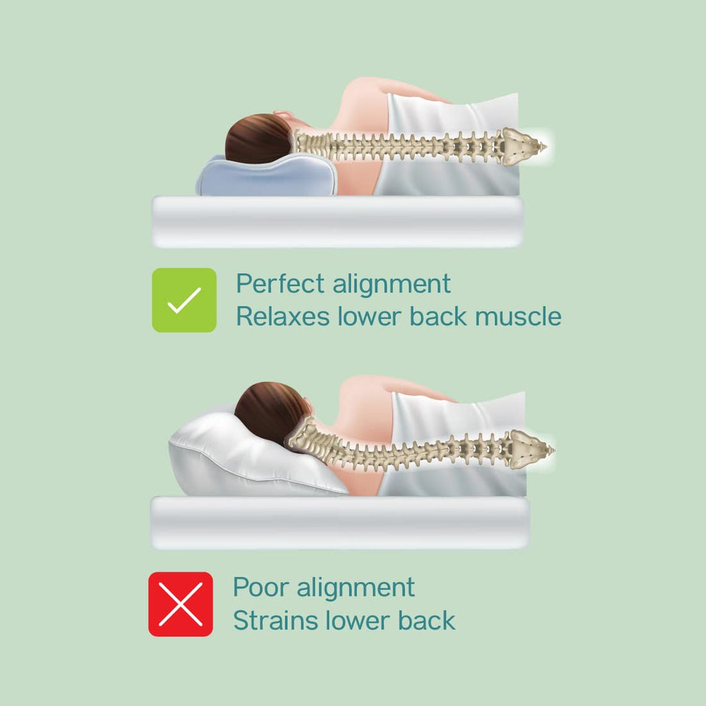 BackGood CoolTech Pillow