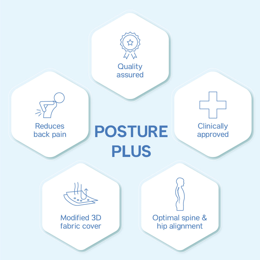 BackGood Memory Foam BackRest Cushion (Big)