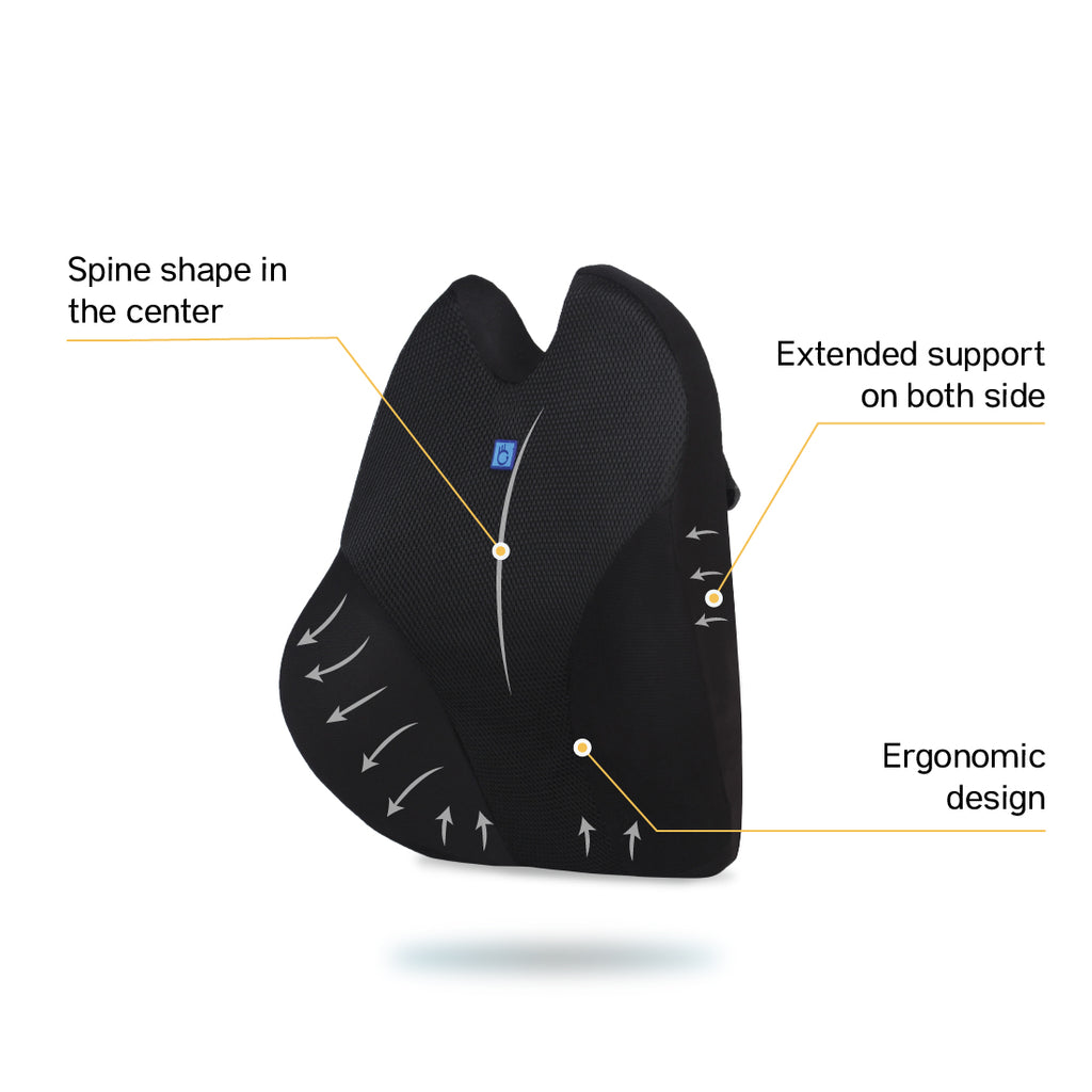 BackGood Memory Foam BackRest Cushion (Big)