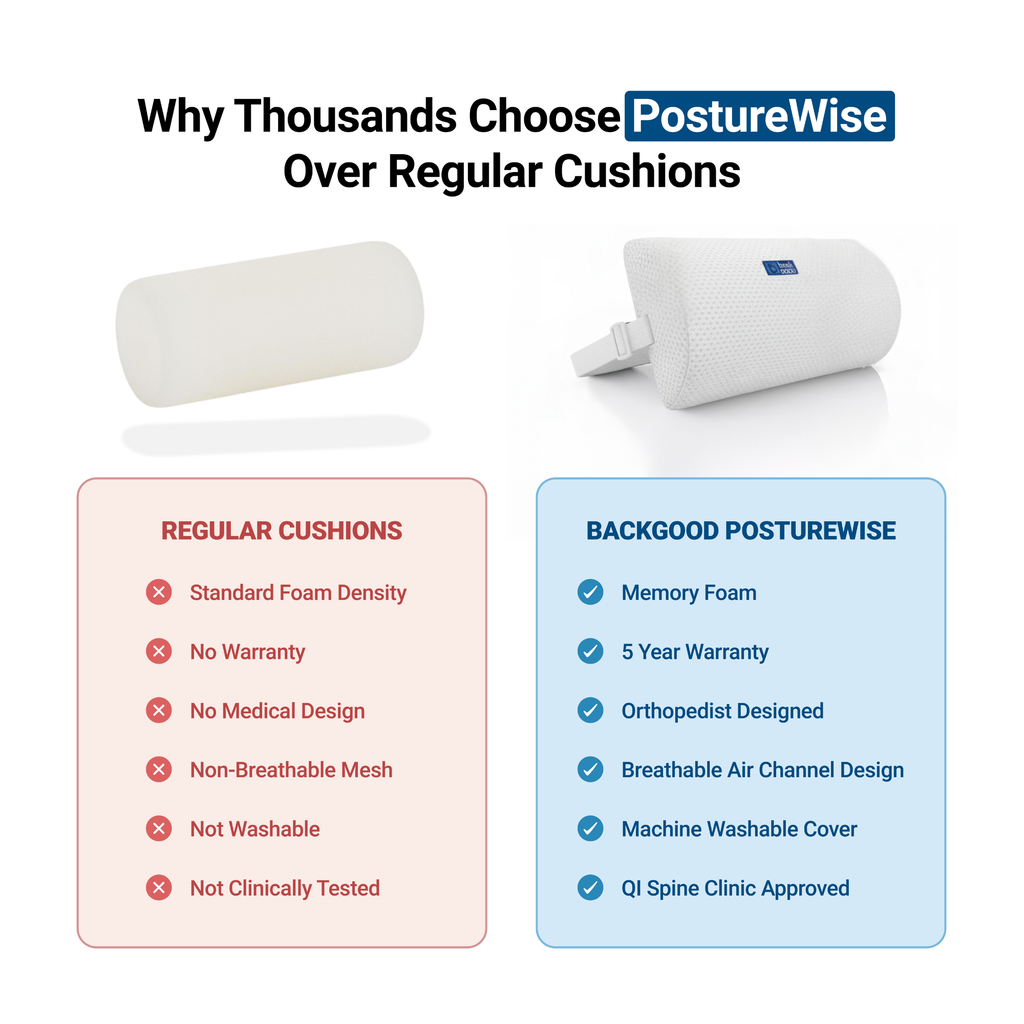 BackGood PostureWise Lumbar Support Roll